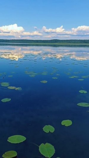 Лето цвета неба