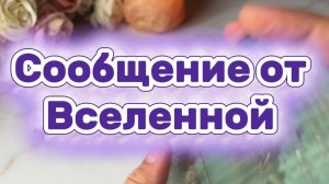 Сообщение от Вселенной 🔮🔆💫Таро