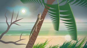 13. Natural Selection: Life's Way of Stayin' Alive: Crash Course Biology