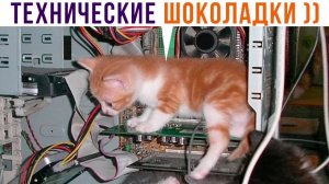 Я ИГРАЮ НА ГРИФЕ