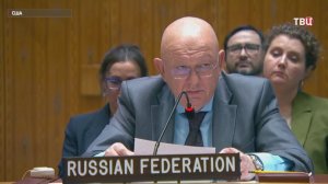 Небензя: Зеленский письмом Путину нарушил свой же указ