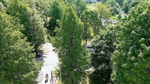 Вид на город с высоты птичьего полёта