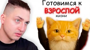 МУДРЫЙ КОТ НАУЧИЛ МЕНЯ ЖИЗНИ... (я сел)