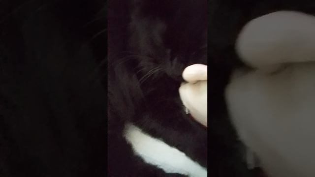 гусь съел вас в концы :_ смотреть онлайн