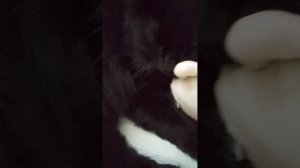 гусь съел вас в концы :_