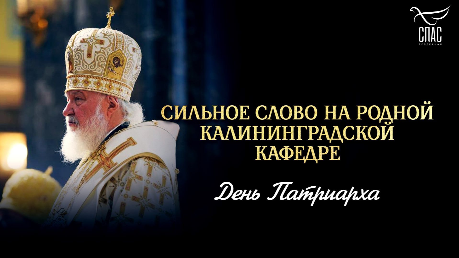 Сильное слово на родной Калининградской кафедре