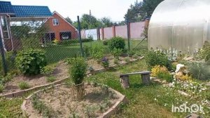5-8 июня 2026 года. Окучивание картошки, прореживание моркови, пересадка свёклы)))
