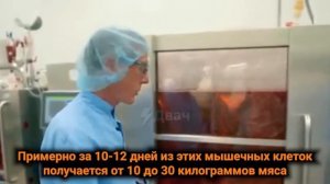 В Нидерландах открыли первую в мире ферму без животных. Вместо коров — клетки ткани, вместо пастуха