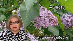 4 часть. Седая боится заболеть БОЛЕЗНЬЮ МОЗГА😱❗️Или уже❓️
