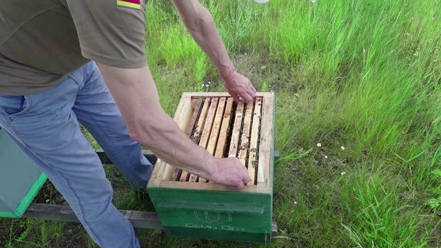 ПЕРГОВЫЕ РАМКИ .ЧТО Я С НИМИ ДЕЛАЮ? смотреть онлайн