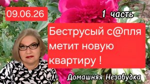 1 часть. Беструсый с@пля метит новую квартиру❗️
