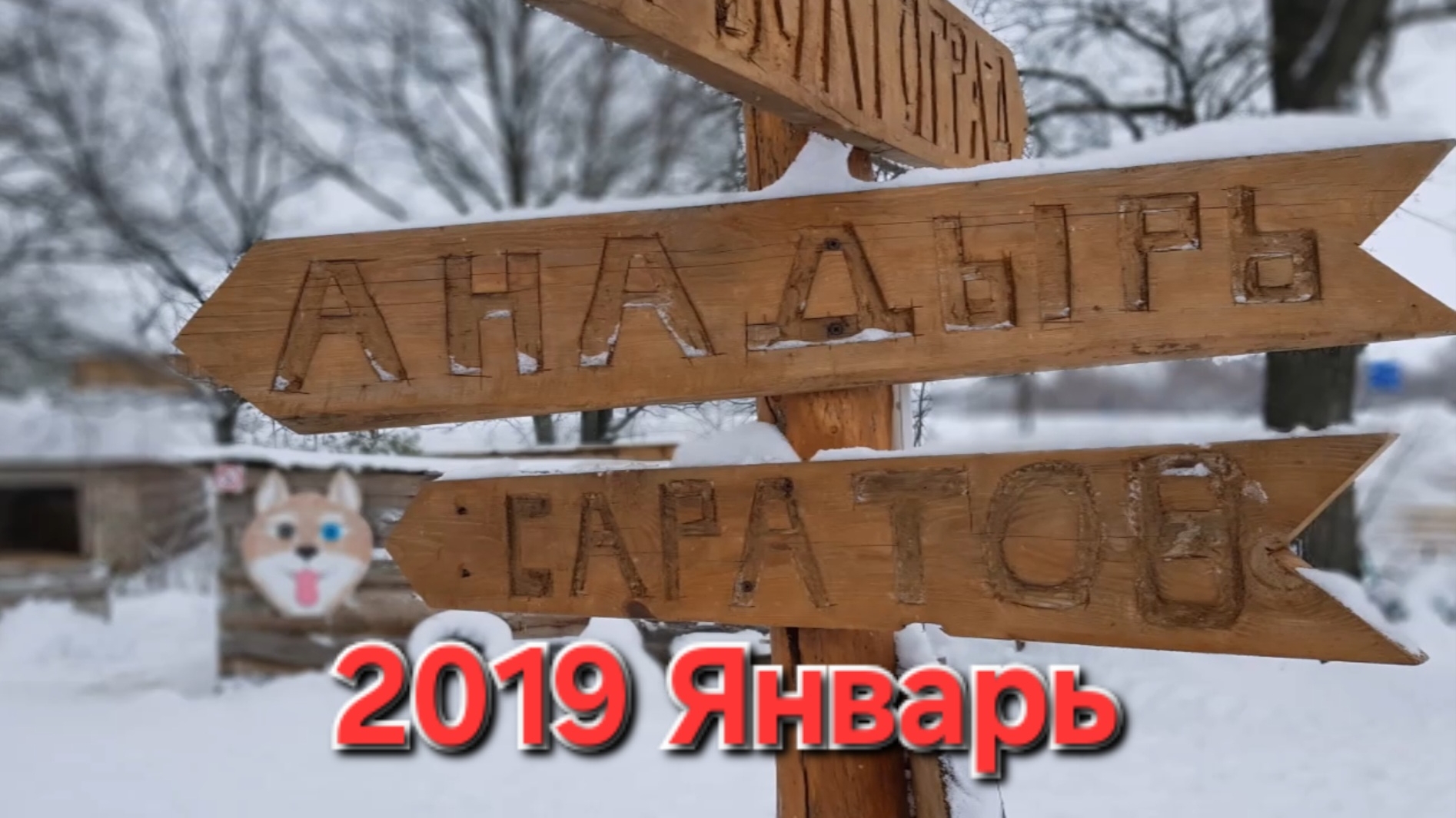 2019 Январь (новогодняя ночь и каникулы, свадьба Нины и Боганда, у Филатовых) смотреть онлайн