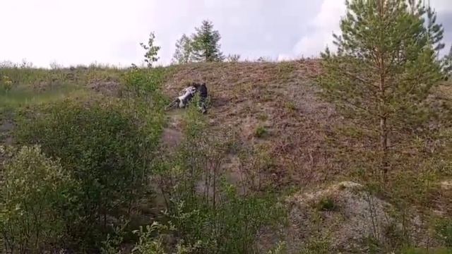 VID-20250610-WA0002.mp4 смотреть онлайн