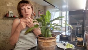 ЦВЕТЫ Погибают( Что делать?! ОТДЫХ ОТМЕНЯЕТСЯ😮Ловлю ПОЗИТИВ Как МОГУ. ВЛОГ.