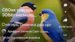 «Снегирь и синичка»- двуглавый прилетел на ZOV, ты не красней моя пехота