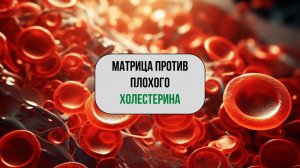 Матрица против плохого холестерина | Очищение сосудов от бляшек