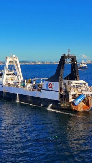 Траулер-завод Northern Jaeger вернулся в Сиэтл после очередного успешного сезона промысла минтая