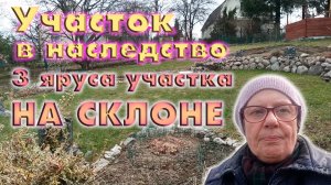 УЧАСТОК В НАСЛЕДСТВО