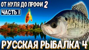 RF4 Первые шаги, цели, другая прокачка, планы, результаты #рр4