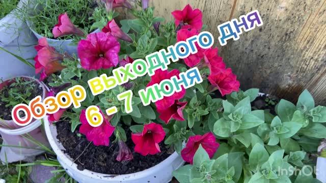 Обзор выходного дня 6-7 июня