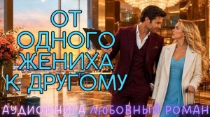 ОТ ОДНОГО ЖЕНИХА К ДРУГОМУ: СЛУШАТЬ АУДИОКНИГА ЛЮБОВНЫЙ РОМАН