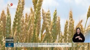 Выставка-демонстрация «День донского поля» начнет работу в Зерноградском районе