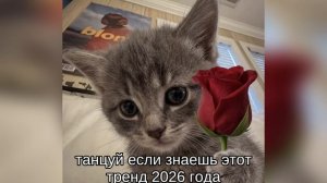 ТаНцУй ЕсЛи ЗнАеШь ЭтОт ТрЕнД 2026 гОдА❤️🩹