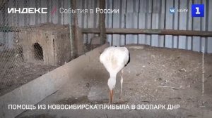 Помощь из Новосибирска прибыла в зоопарк ДНР