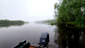 ВОДА ПРИШЛА РЫБЫ НЕТ