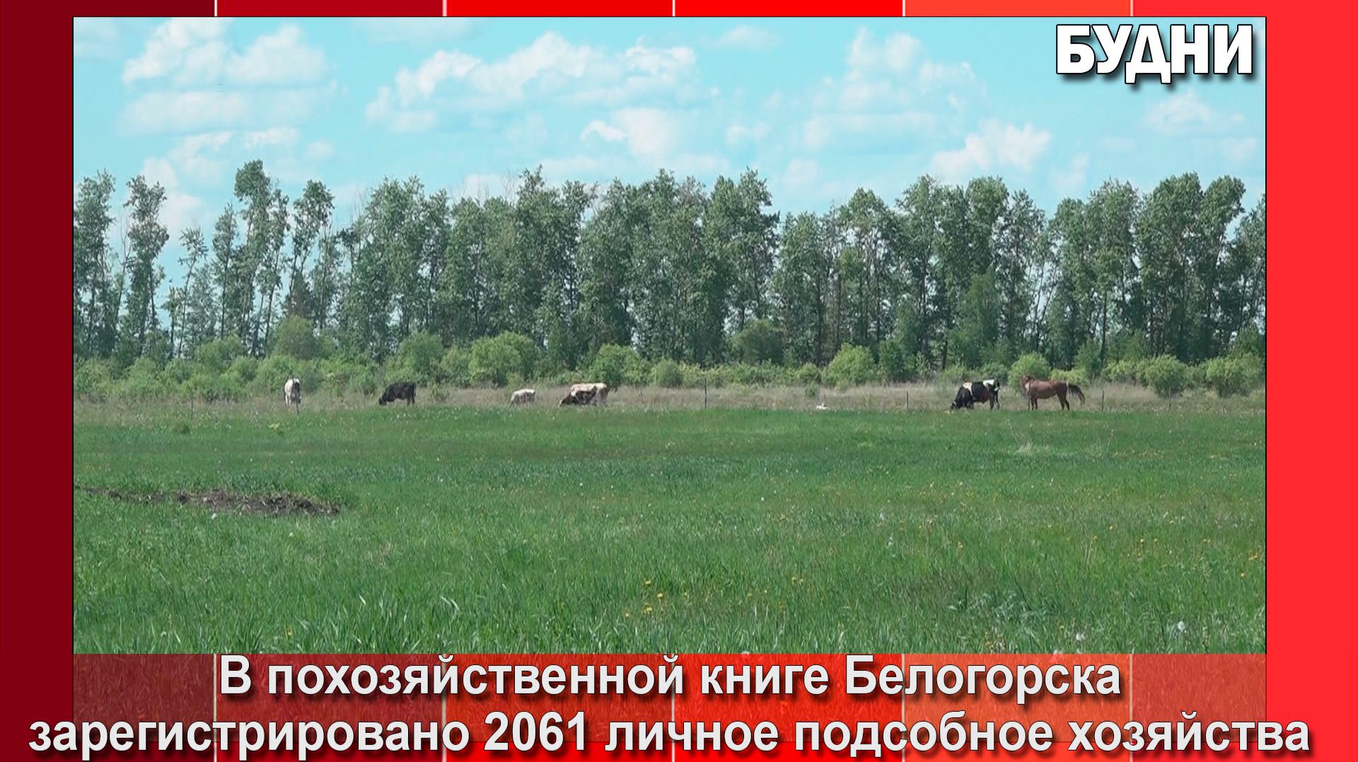 Обход личных подсобных хозяйств проводится в Белогорске