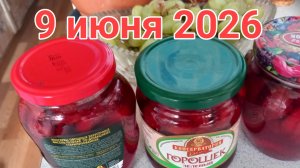 8-9 июня 2026. Июньское настроение...