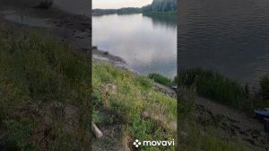 Сплав 2024