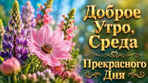 Доброе Утро, Среда ☀️ Прекрасного Дня и Отличного Настроения