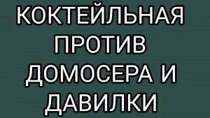 ДЕД, проснись! Твоя фанатка пришла!