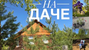ДАЧНЫЙ ВЛОГ | ПЕРВЫЕ ПЛОДОВЫЕ САЖЕНЦЫ 🔥 ДЕЛАЕМ КЛУМБЫ🌸 НАВОДИМ УЮТ🏡 ЕДЕМ НА ДАЧУ