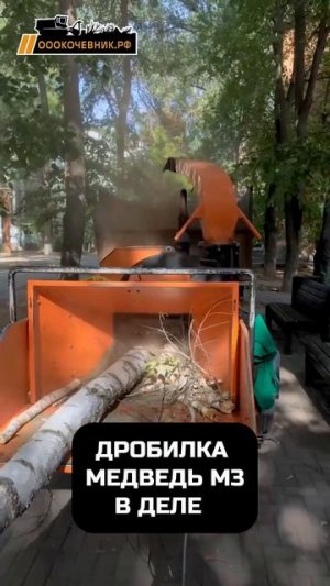 Российская дробилка веток MEDVED M3 в деле