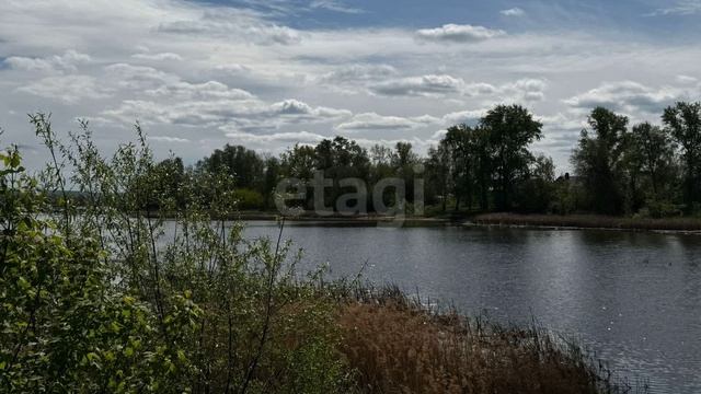 4279678 смотреть онлайн