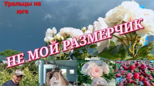 Кубань на связи.Не мой размерчик.