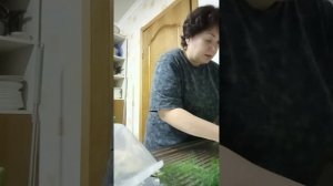 Чуток не успели на закат полюбоваться 😏 Огород полила 💦Нарвала зелень для салата 🥗