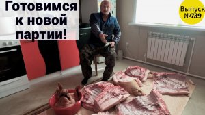 Большой поросёнок для новых деликатесов. Жизнь и будни в Омской деревне.