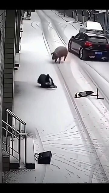 3730.mp4 смотреть онлайн