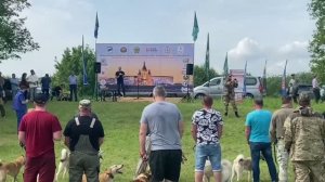 102 Нижегородская областная выставка охотничьих собак 2025  посвящённая 30 летнему юбилею ОО НОКОС