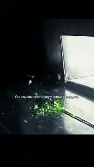 краткий пересказ фильма