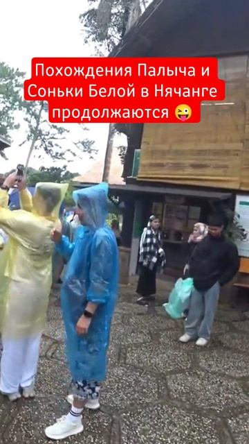 Приключения Палыча и Соньки Белой в Нячанге продолжаются 😜 #путешествия #вьетнам #нячанг физрукпалы