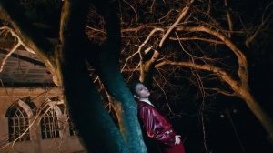 Serve xlov (mv)
