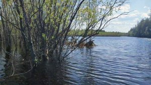 06.06.2026 Выезд на рыбалку (р.Пякупур)