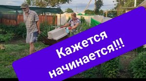 Подготовка к стройке. Печенье сгорело. Простая жизнь на пенсии.