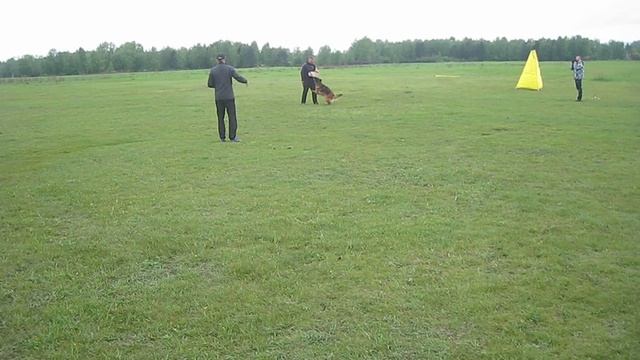 3.  выражено/пож SHUMIHOFF HEPPI (Team Zilber Wasserfall Bacio – Shumihoff Ladislava)