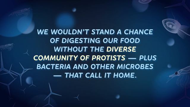 18. Biological Diversity, Butts, and the Tree of Life: Crash Course Biology смотреть онлайн