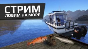 Русская Рыбалка 4 Норвежское МОРЕ